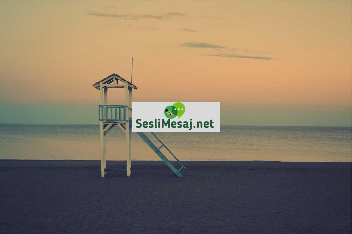 Samimi Sohbet: Güven İnşa Etmenin Çevrimiçi İpuçları