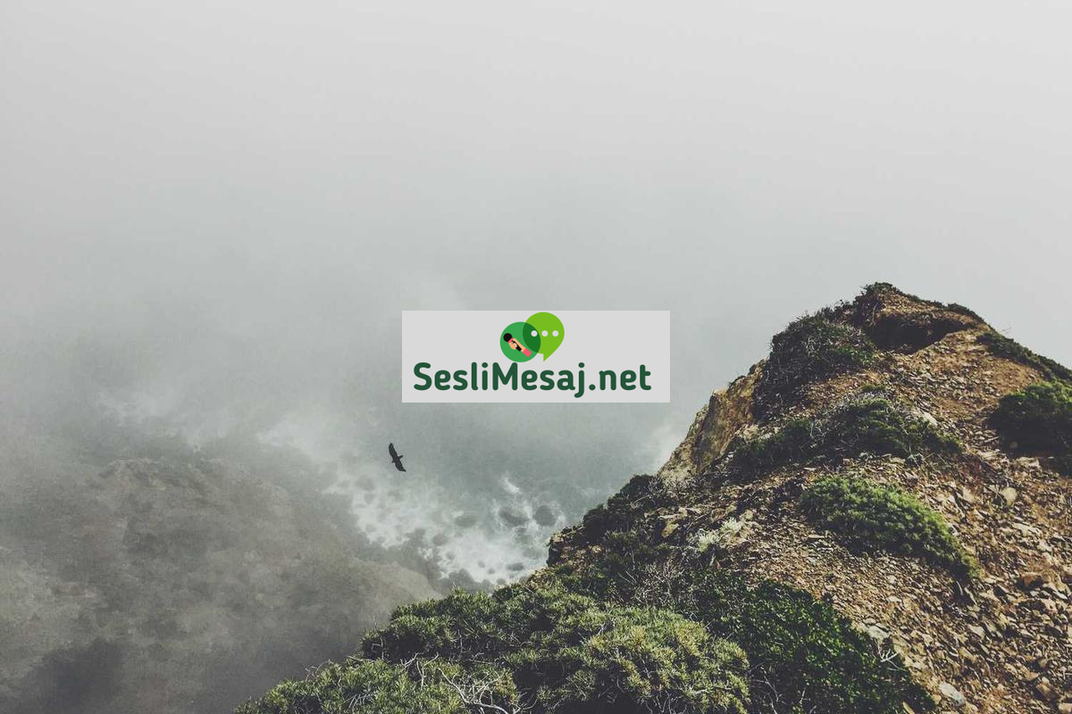 Sanal Flört Chat: Dijital Ortamda Flört İpuçları