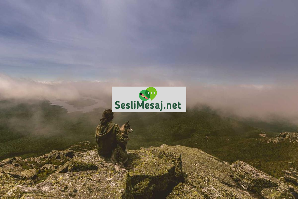 Sanal Ortamda İlk Buluşma Sohbeti: Hazırlık ve İpuçları