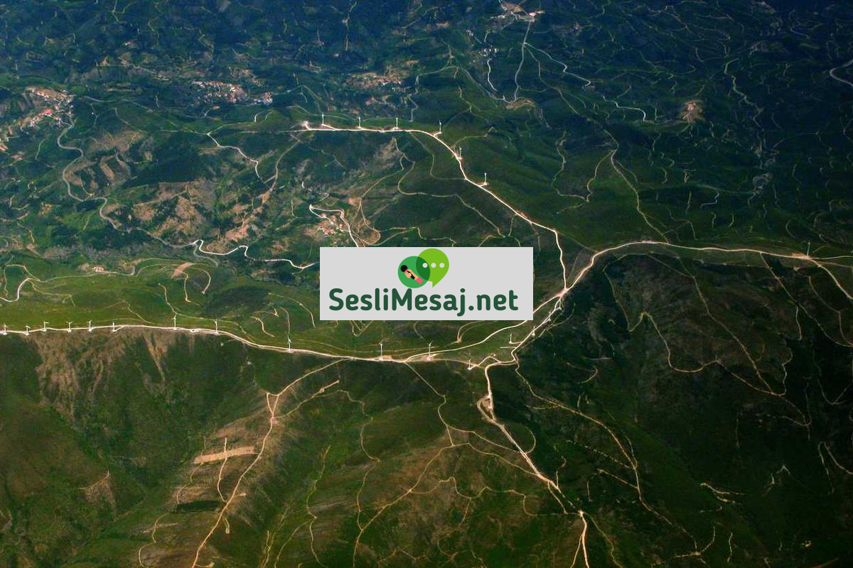 Sanal Sohbet: Yapay Zeka ve Botlarla İletişim