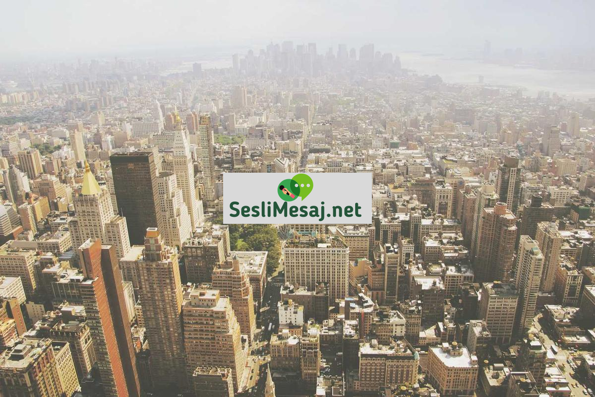 Sanat Sohbeti: Resim, Heykel ve Müzik Üzerine İletişim