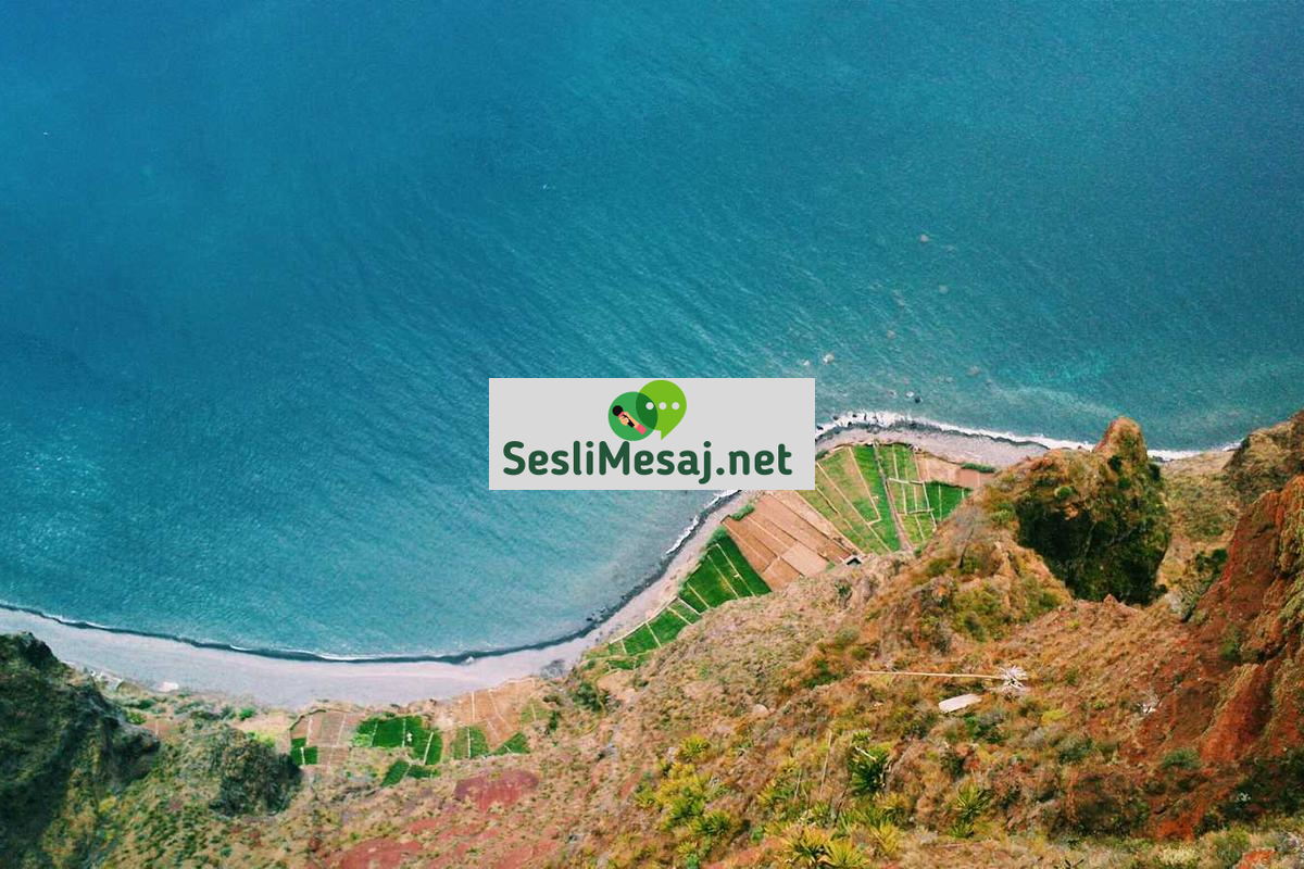 Satranç ve Go Sohbeti: Zeka Oyunları ve Strateji