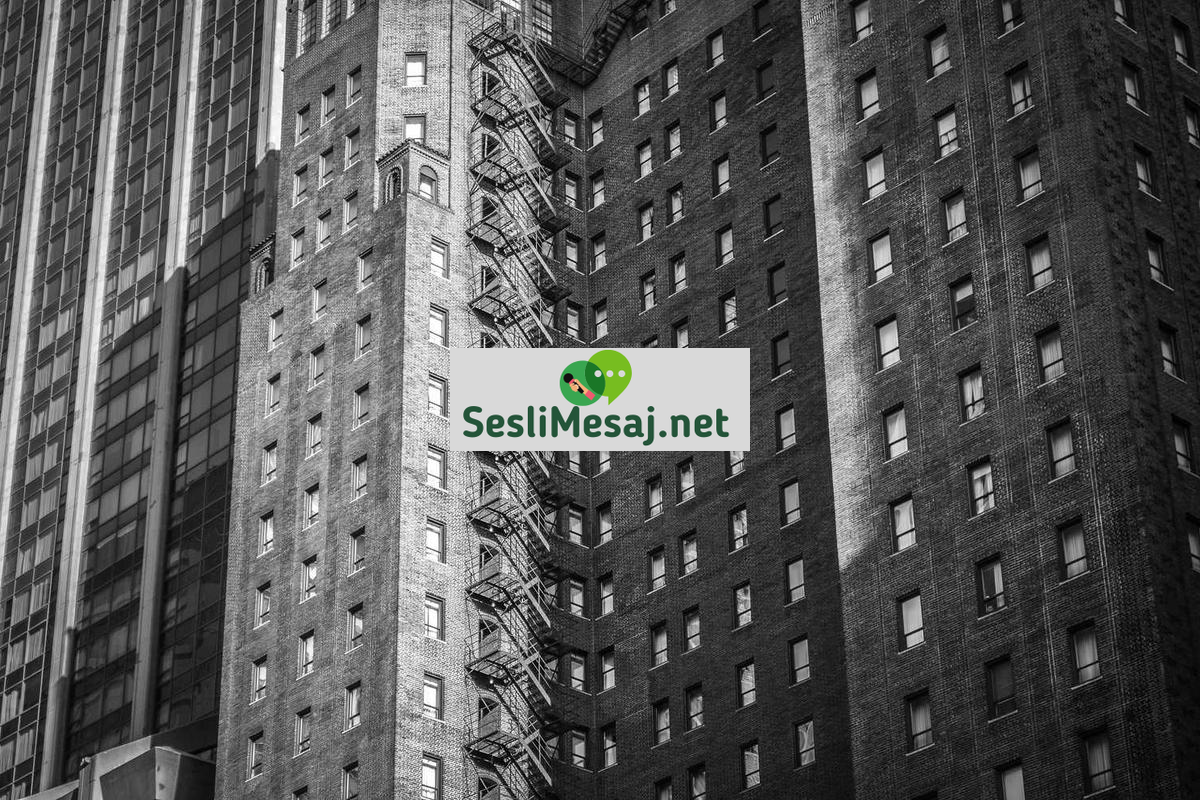 SEO İçerik Stratejileri Sohbeti: Blog ve Web Sitesi