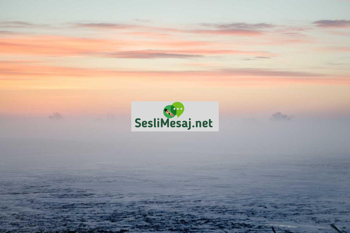 SEO ve SEM Sohbeti: Arama Motoru Optimizasyonu Teknikleri