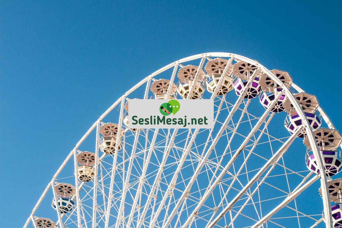 SEO ve SEM Sohbeti: Arama Motoru Optimizasyonu Teknikleri