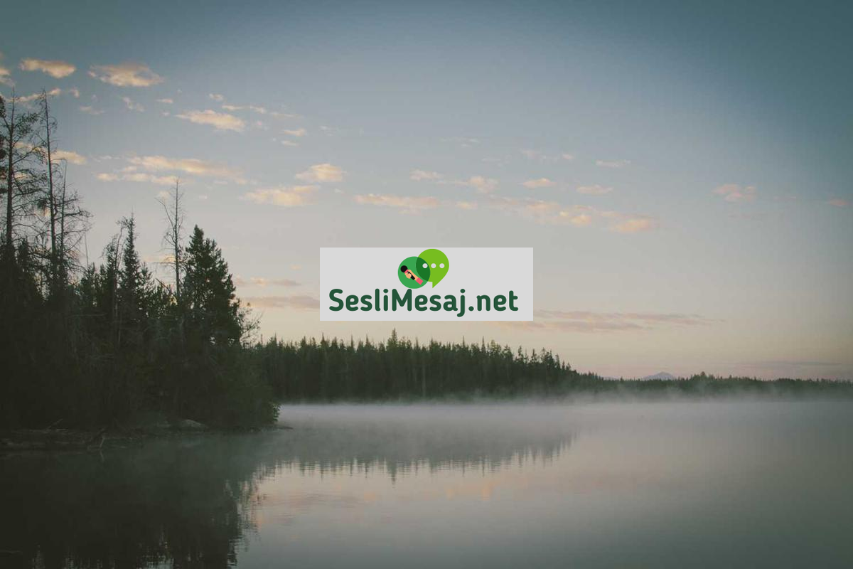 Serin Sohbet: Sakin ve Dengeli Konuşmalar