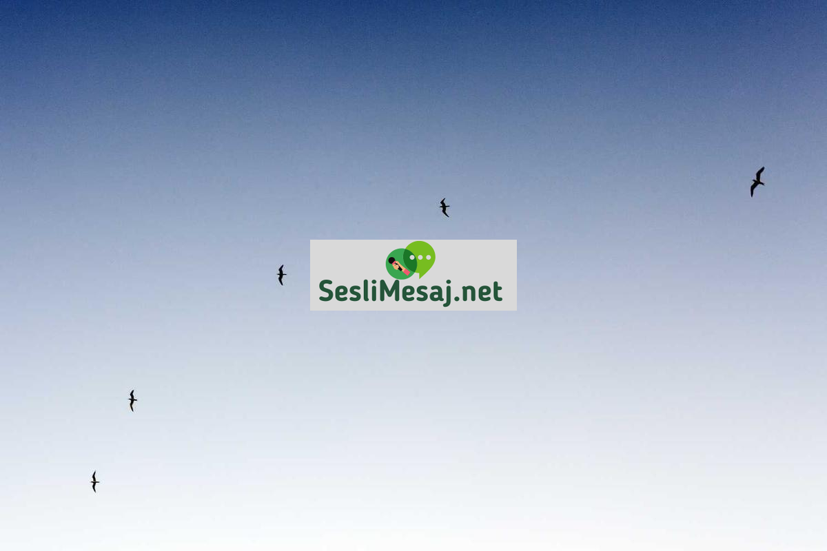 Seslendirme ve Dublaj Sohbeti: Ses Oyunculuğu