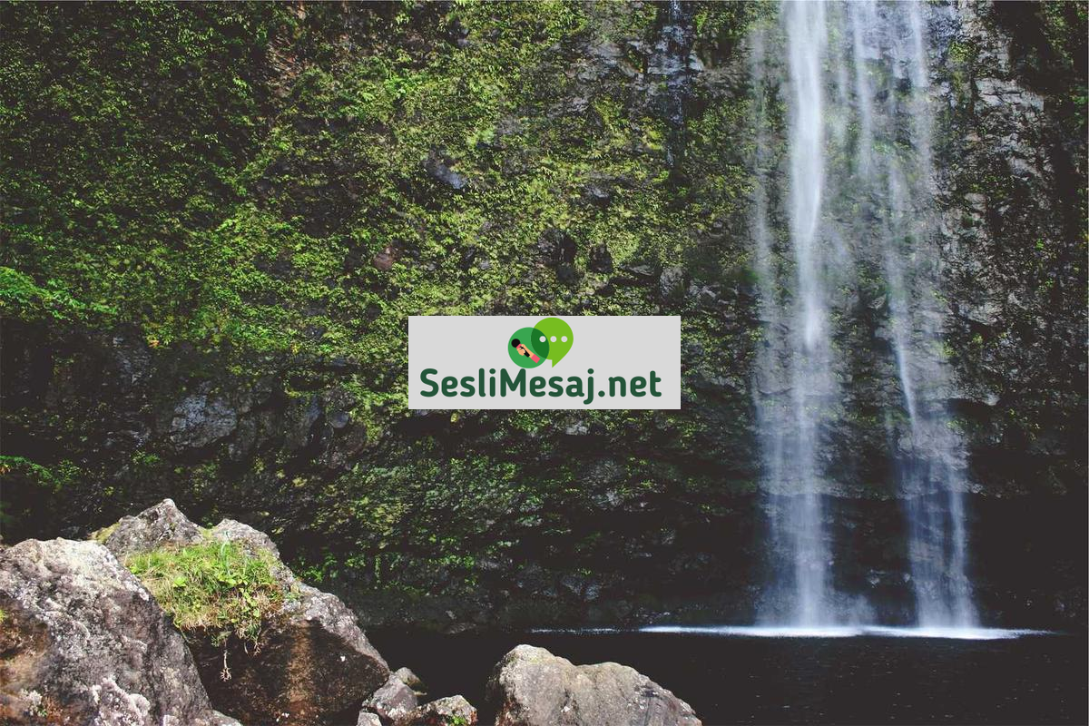 Sesli Sohbet: Konuşmanın Gücünü Dijital Platformlara Taşıma