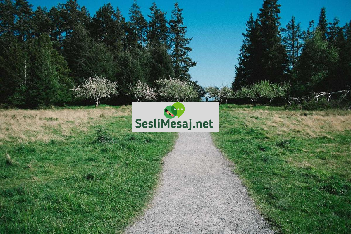 Sesli Sohbet: Konuşmanın Gücünü Dijital Platformlara Taşıma