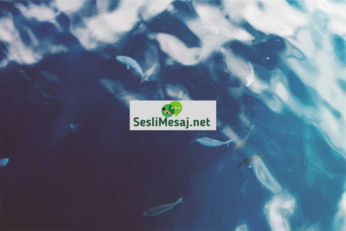 Sessiz Chat: Gözlem ve Dinlemeye Dayalı İletişim