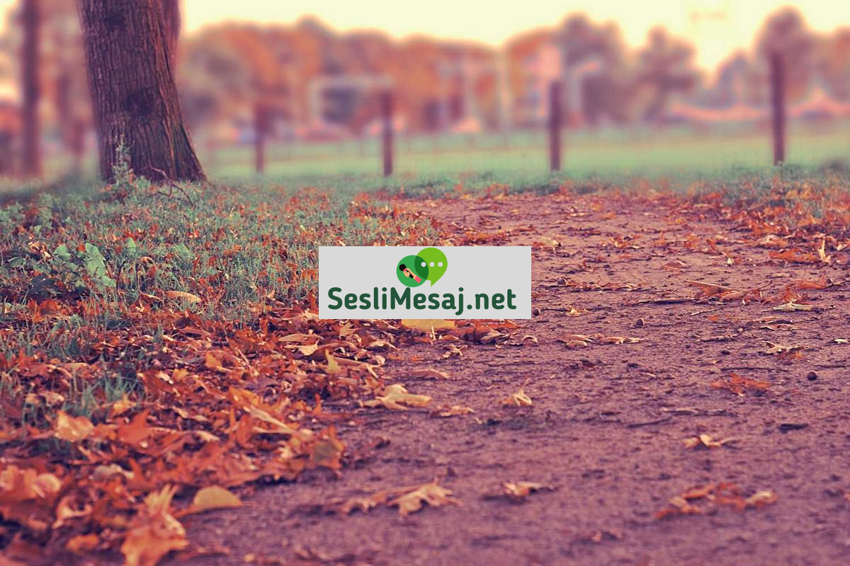 Seviyeli Chat Siteleri: Saygılı Ortamın Önemi