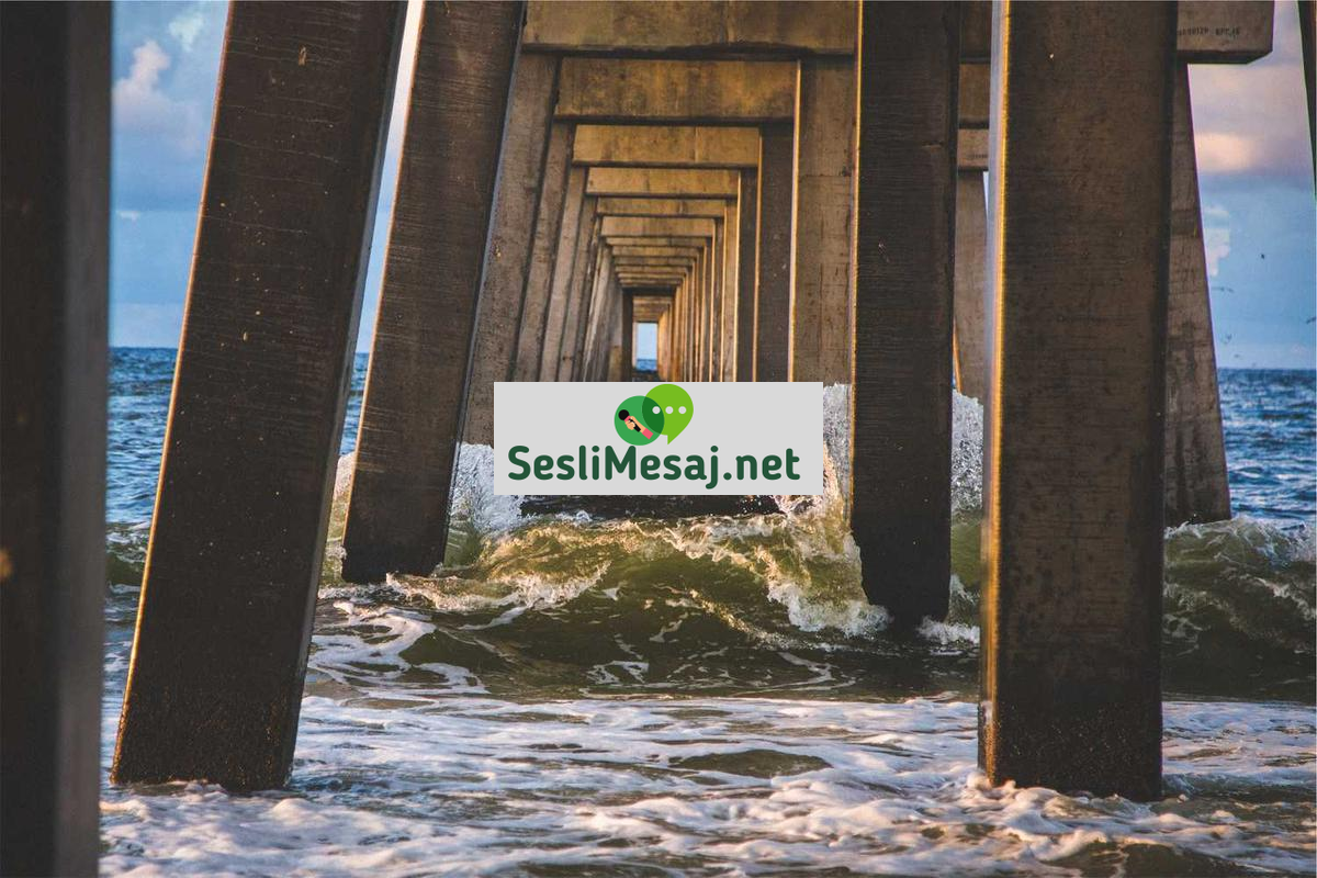 Siber Güvenlikte Kariyer İlerlemesi Sohbeti: Uzmanlık