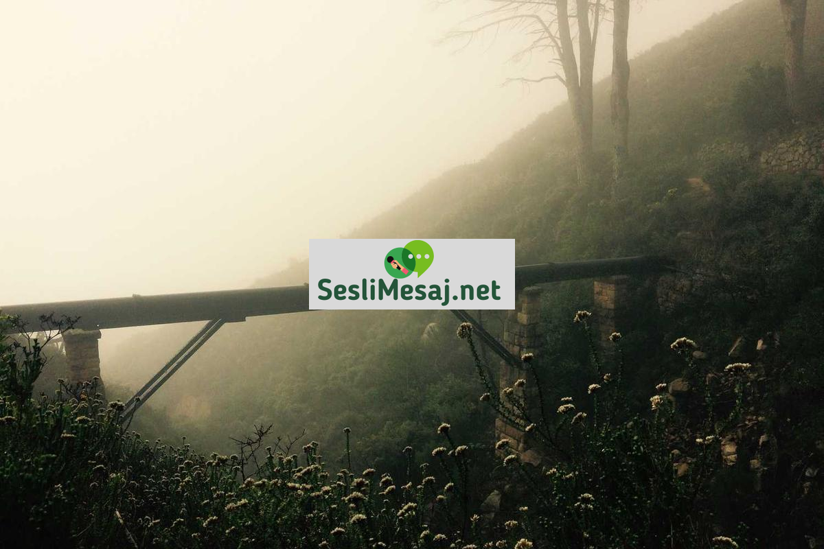 Siber Güvenlikte Uzmanlık Sertifikaları Sohbeti: Kariyer