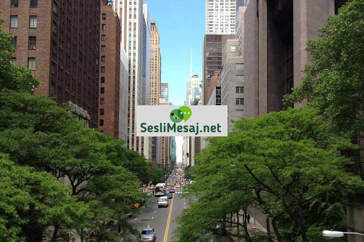 Siber Güvenlikte Uzmanlık Sertifikaları Sohbeti: Kariyer