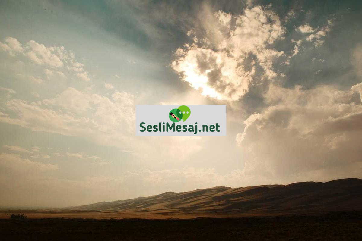 Siber Güvenlikte Uzmanlık Sertifikaları Sohbeti: Kariyer