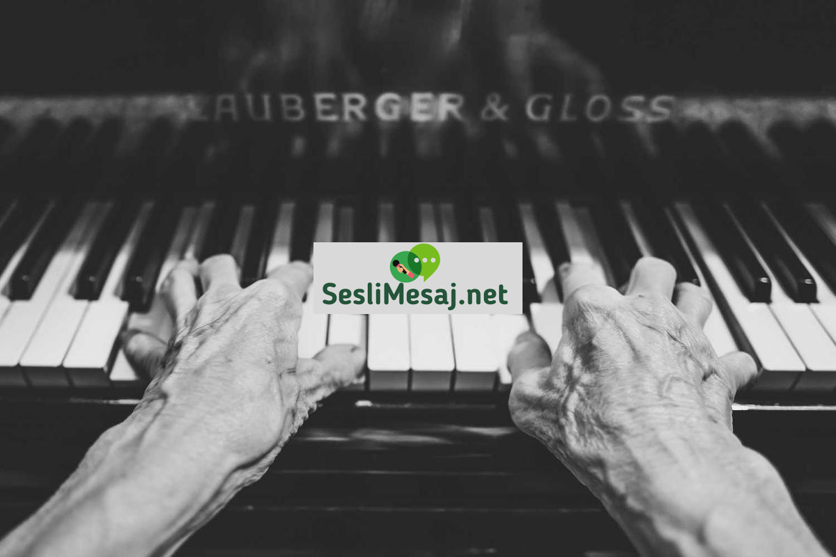 Siber Güvenlikte Uzmanlık Sertifikaları Sohbeti: Kariyer