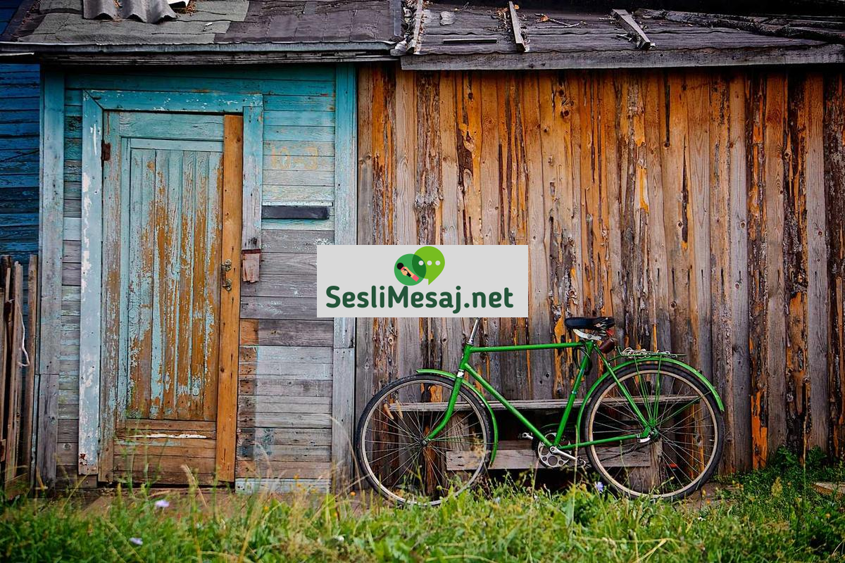 Siber Güvenlik Uzmanlarının Günlük Rutini Sohbeti: Deneyimler