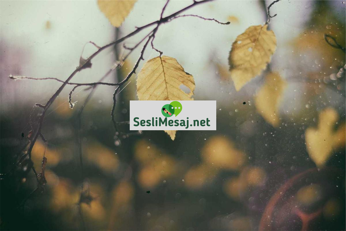 Sohbet Eğlenceleri: Çevrimiçi Oyunlar ve Aktiviteler