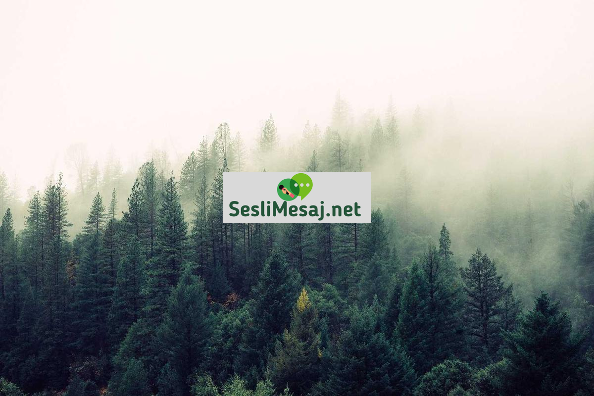 Sonsuz Chat: Felsefi ve Sınırsız Tartışmalar