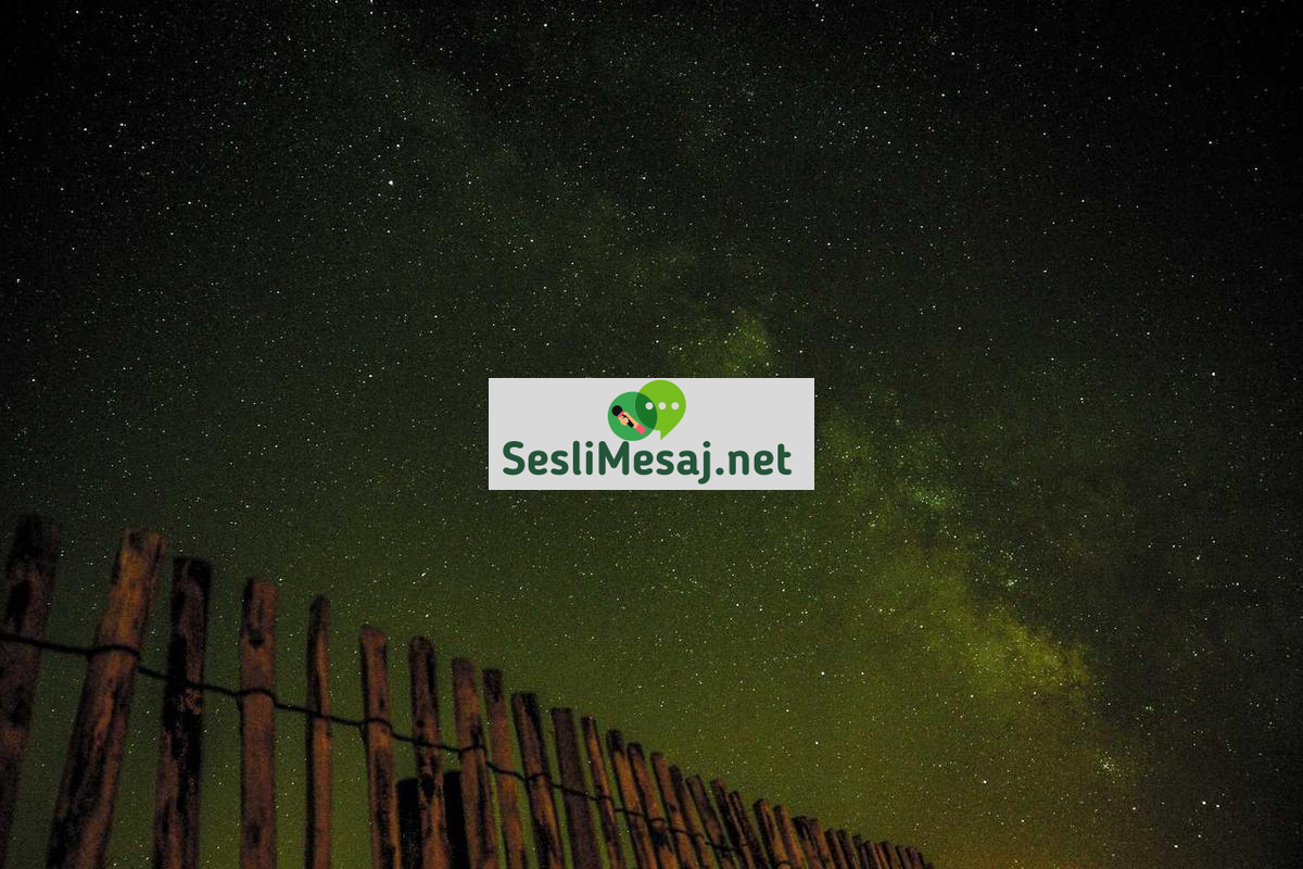 Sosyal Medya Etik Kuralları Sohbeti: Dijital İtibarı Koruma