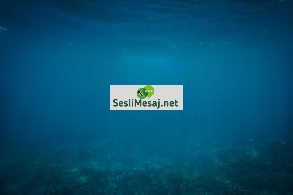 Sosyal Medya Kullanım Limitleri Sohbeti: Psikolojik Etkiler