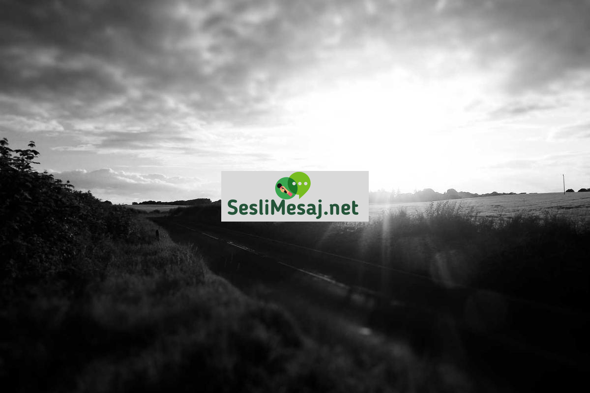 Sosyal Medya Kullanım Limitleri Sohbeti: Psikolojik Etkiler