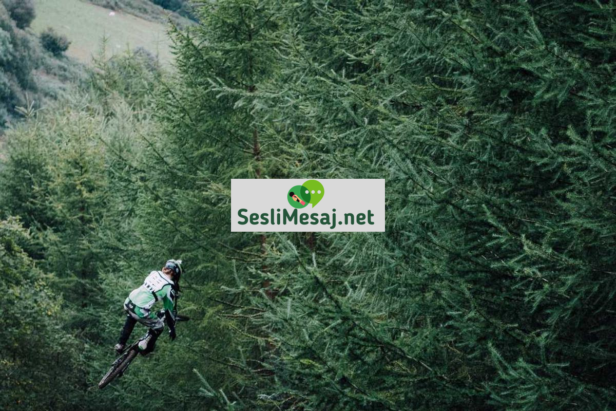 Sosyal Medya Pazarlama Sohbeti: Dijital Reklamcılık Trendleri