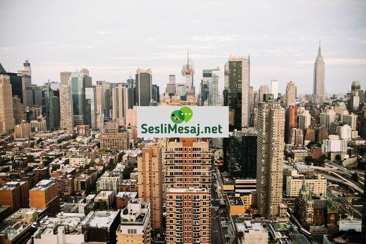 Sosyal Medya Reklam Bütçesi Sohbeti: ROI Hesaplama