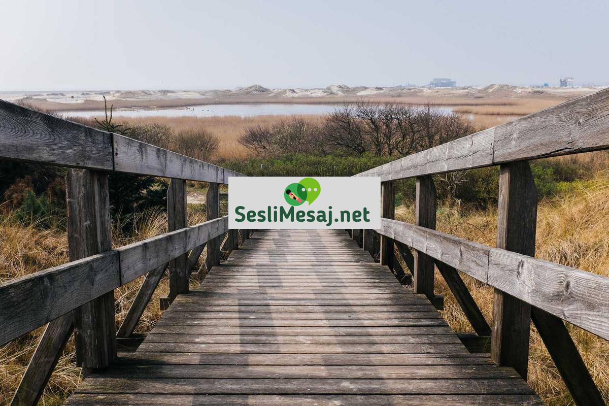 Sosyal Sorumluluk Projeleri Sohbeti: Toplumsal Katkı