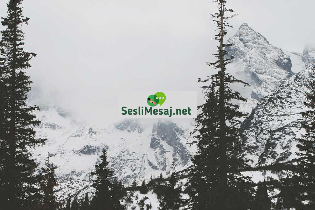 Sürdürülebilir Balıkçılık Sohbeti: Deniz Canlılarını Koruma