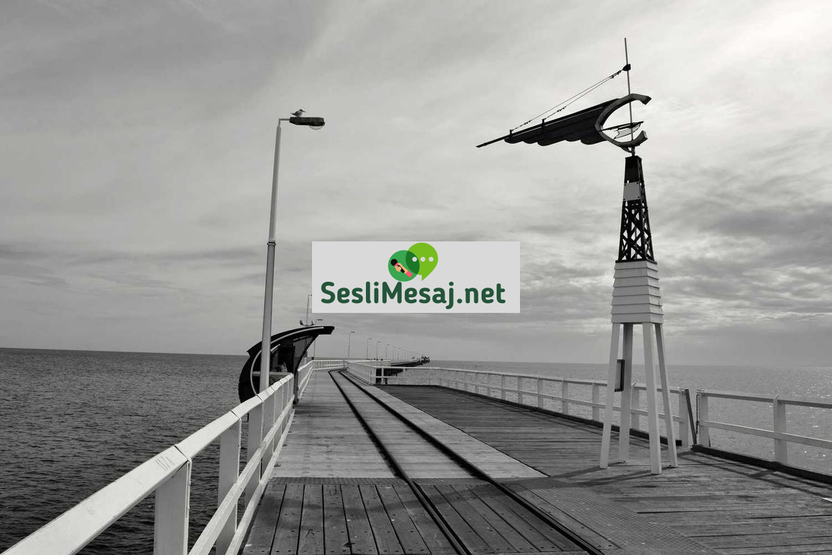 Stres ve Kaygıya Karşı Bilişsel Terapi Sohbeti: Zihin