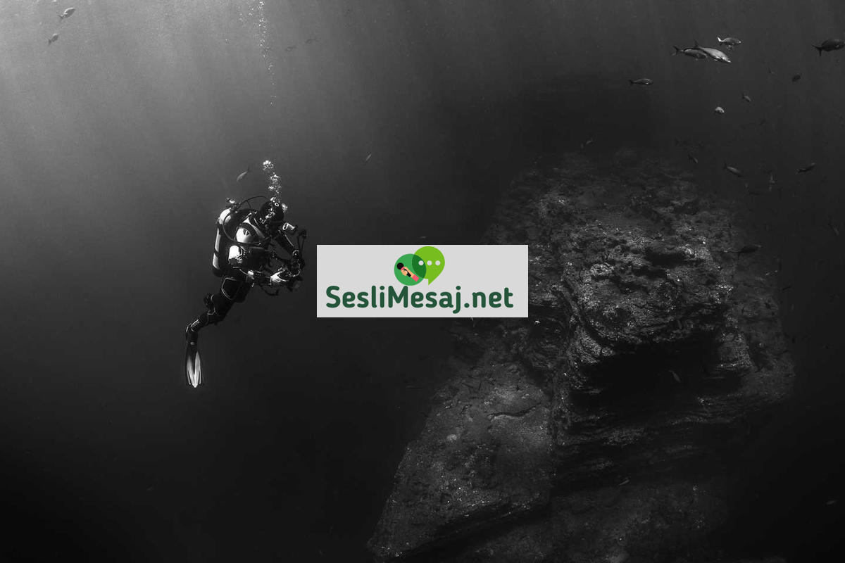 Stres ve Kaygıya Karşı Bilişsel Terapi Sohbeti: Zihin