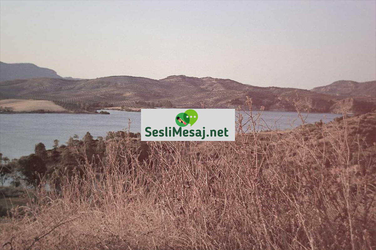 Sunum Hazırlama Sohbeti: Etkili Sunum İletişimi