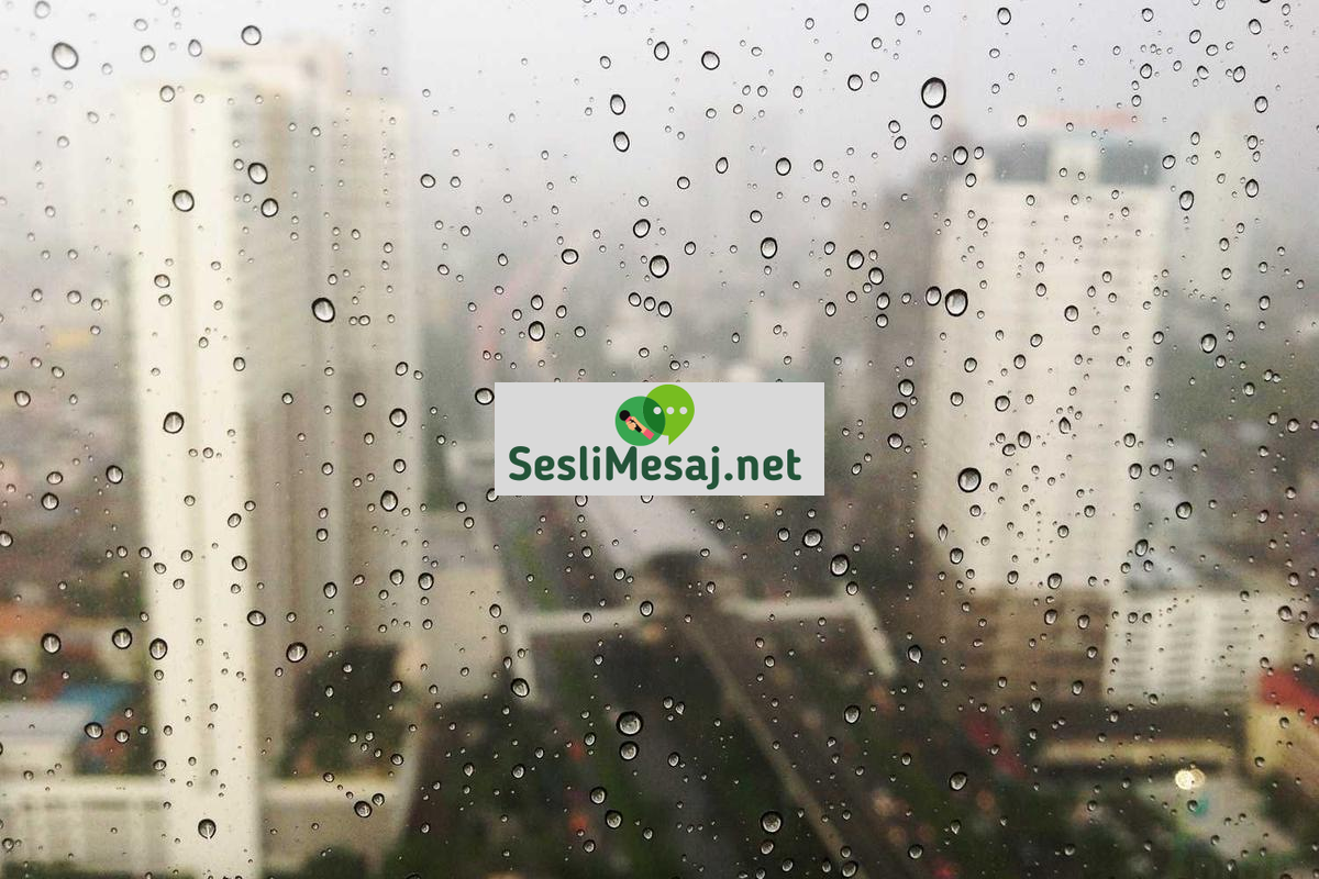 Tarihi Romanlar Sohbeti: Tarih ve Kurgunun Kesişimi