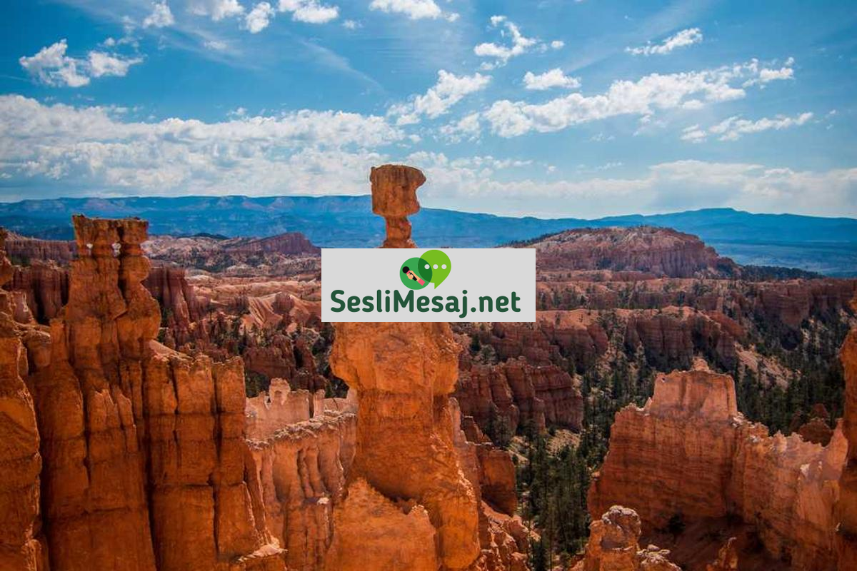 Tatil Sohbeti: Tatil Deneyimleri ve Rota Paylaşımları