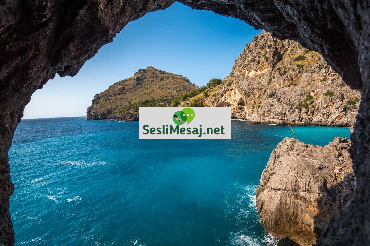 Ticari Marka Tescili Sohbeti: İşletme Hukuku