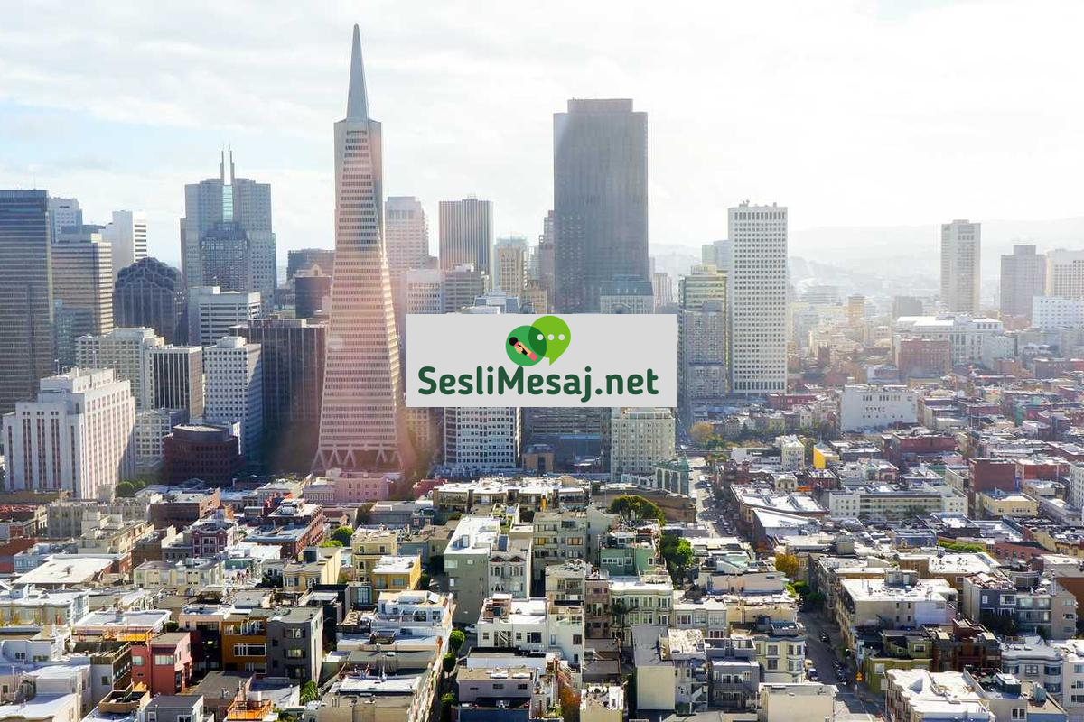 Toplumsal Cinsiyet Sohbeti: Eşitlik ve Farkındalık