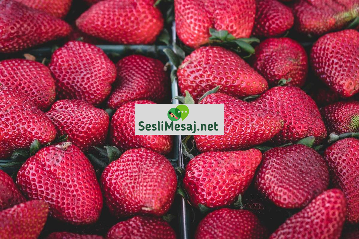 Türkiye Geneli Sohbet: Tüm Ülkeden İnsanlarla Bağlantı Kurma Fırsatları