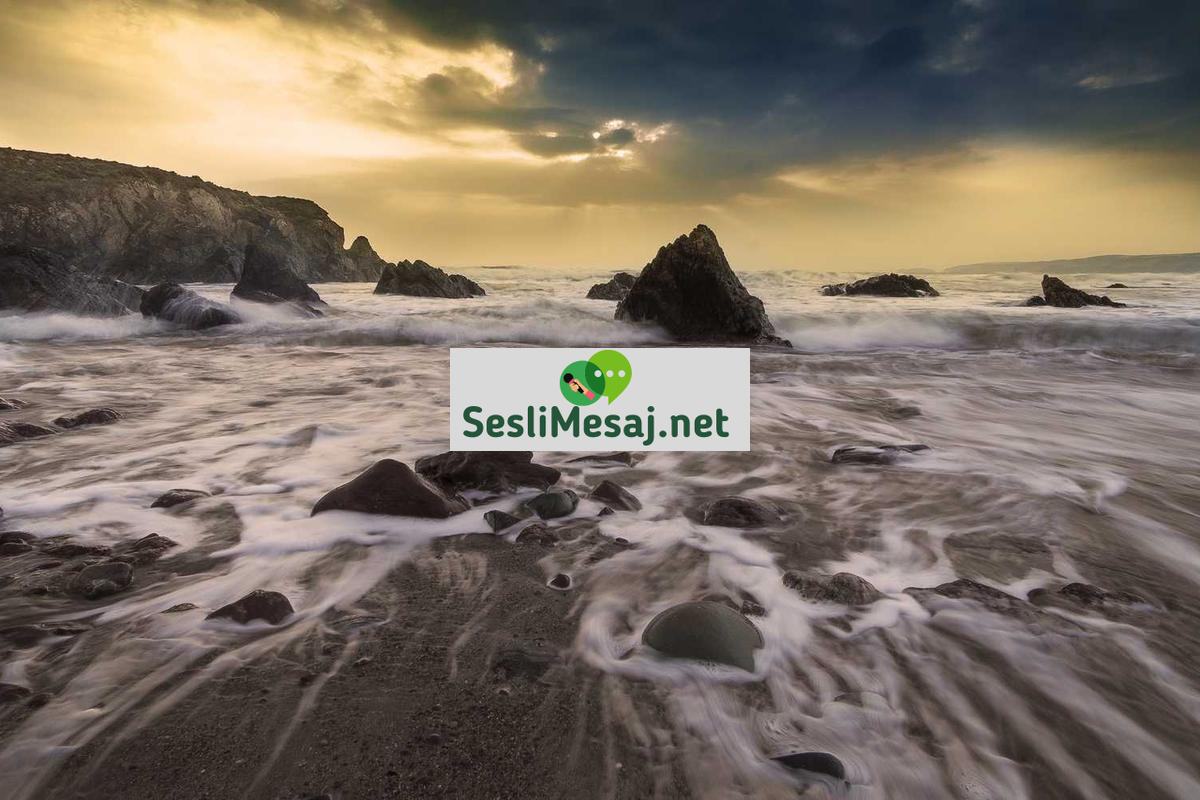 Uluslararası Ticaret Sohbeti: Küresel Pazarlar ve Anlaşmalar