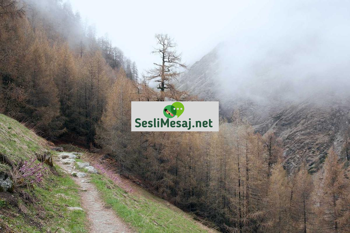 Uyku Kalitesi Sohbeti: İyi Bir Uyku İçin İpuçları