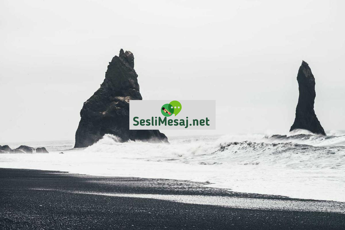 Uzayda Yaşam İhtimali Sohbeti: Bilimsel Araştırmalar