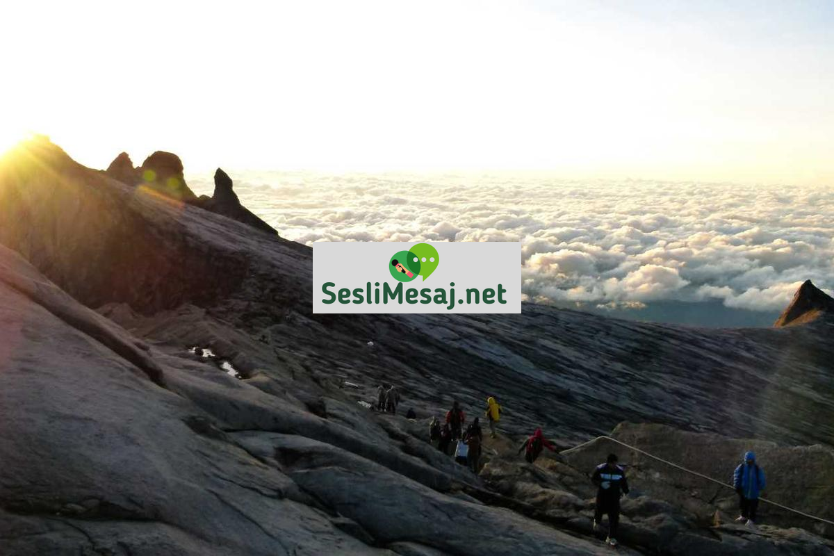 Vücut Dili Okuma Sohbeti: İletişim Güçlendirme