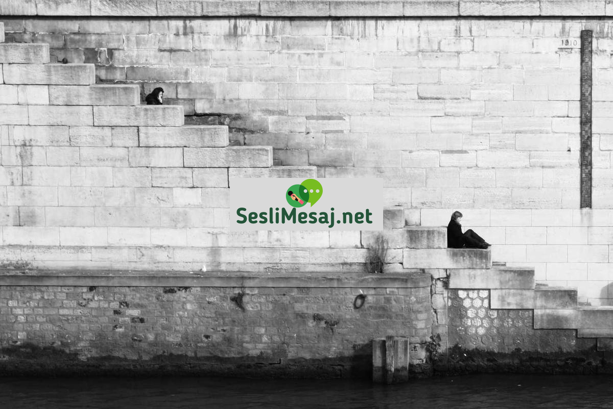 Vegan ve Vejetaryen Sohbeti: Bitkisel Beslenme ve Tarifler