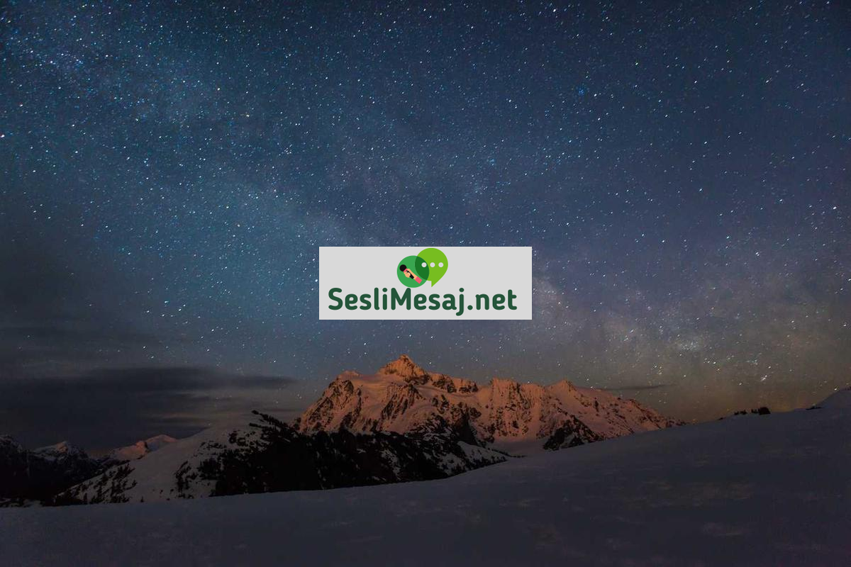 Veri Analizi Programları Sohbeti: SPSS ve Excel