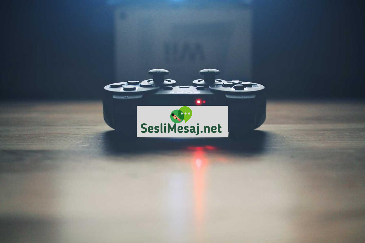 Veri Analizi Programları Sohbeti: SPSS ve Excel