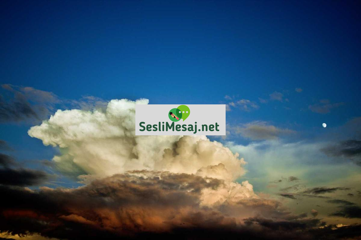 Veritabanı Yönetimi Sohbeti: SQL ve NoSQL