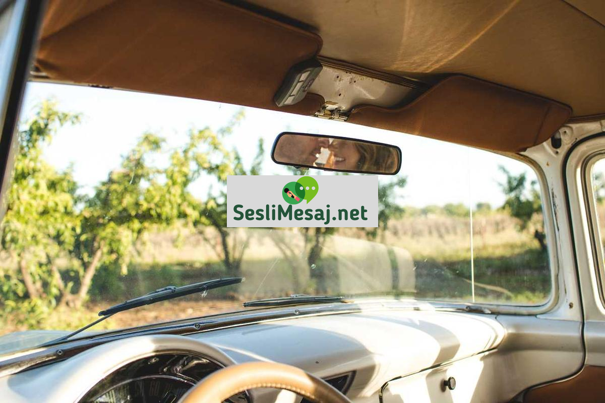 Veritabanı Yönetimi Sohbeti: SQL ve NoSQL