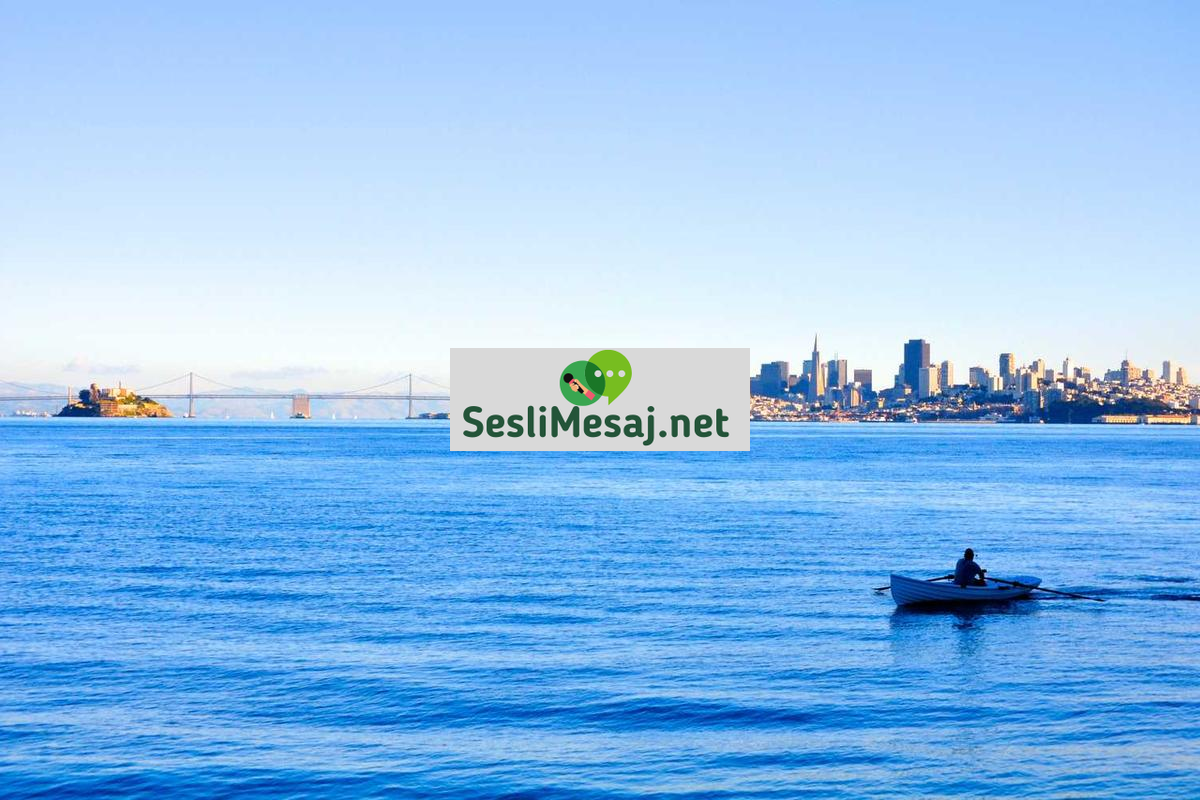 Veritabanı Yönetimi Sohbeti: SQL ve NoSQL