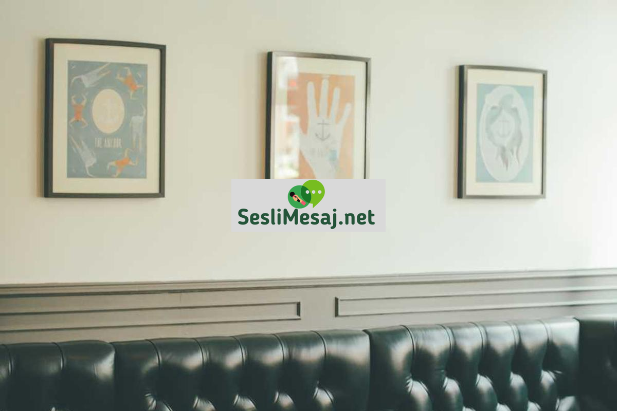 Video Chat Platformları: Canlı Yayın ve Görüntülü İletişim