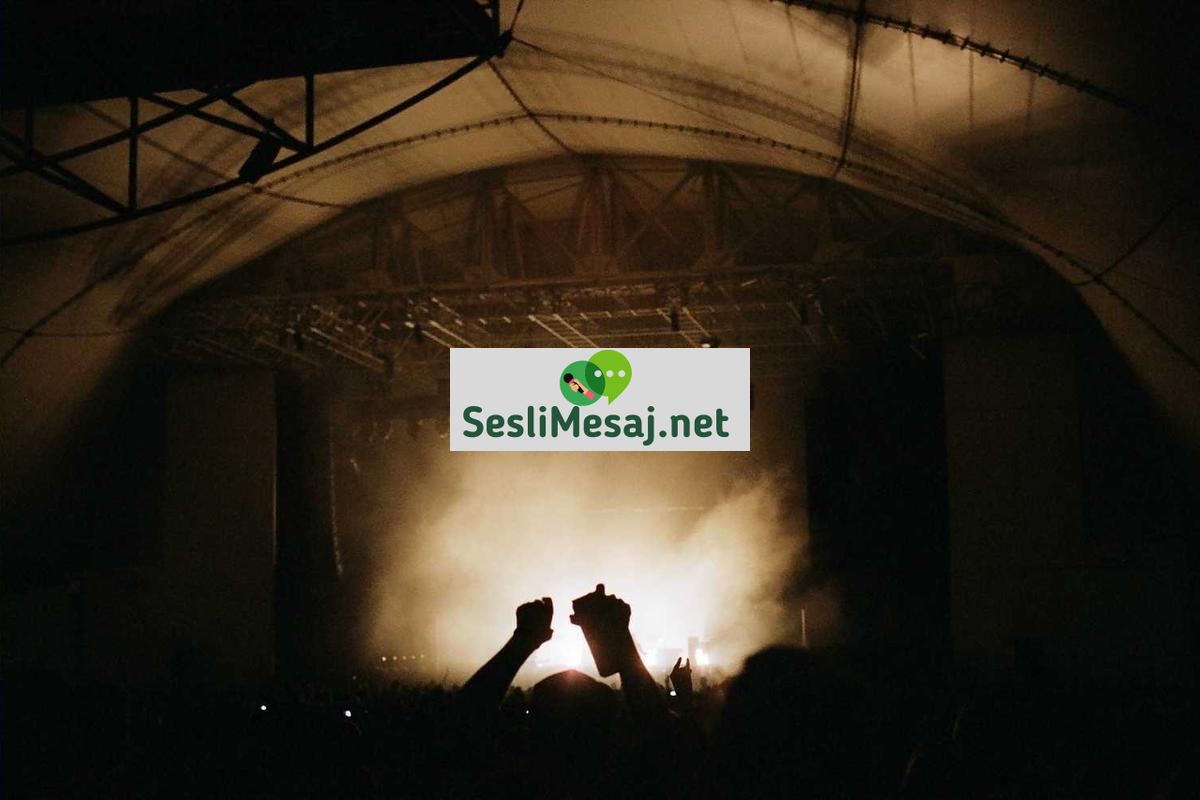 Video Düzenleme Programları Sohbeti: Ücretsiz ve Ücretli